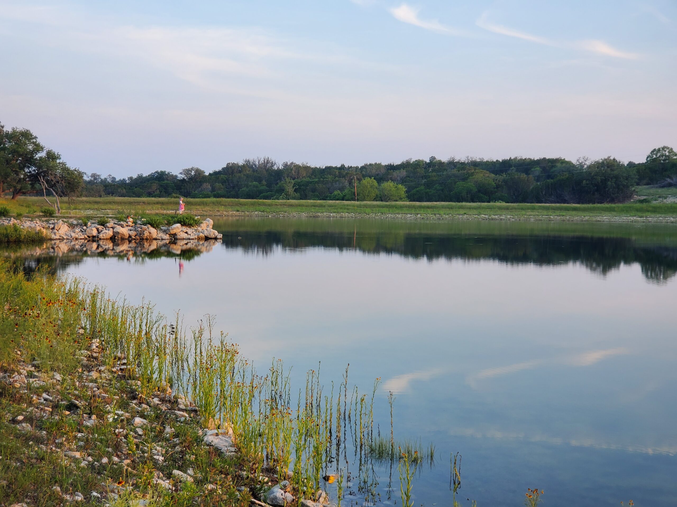 Ranch field and scimitar oryx hunt setting