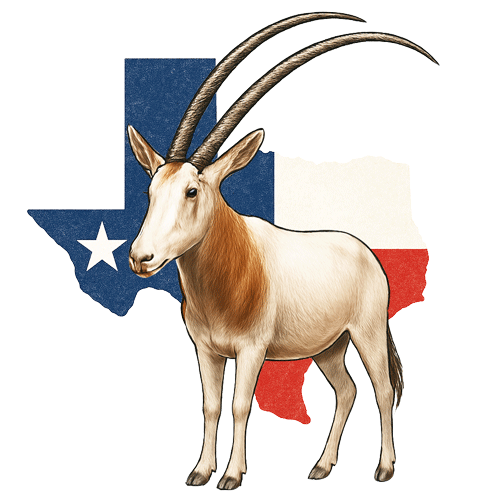 Texas Scimitar Oryx Hunts